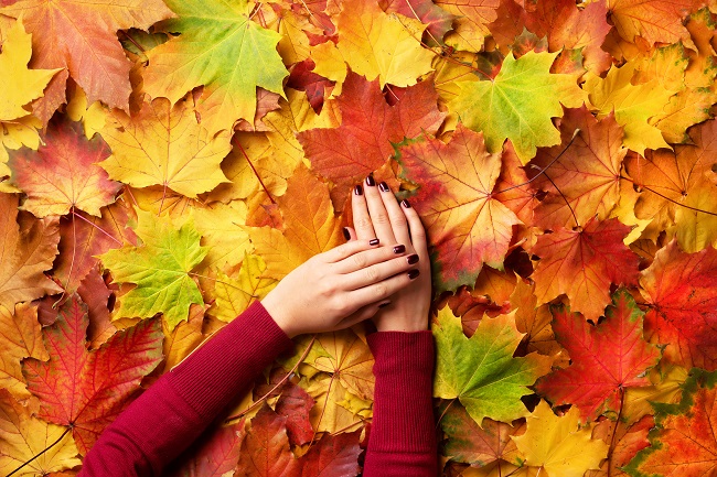 Outono, a estação das folhas chegou… Quais os cuidados para pele e cabelos nesta estação?